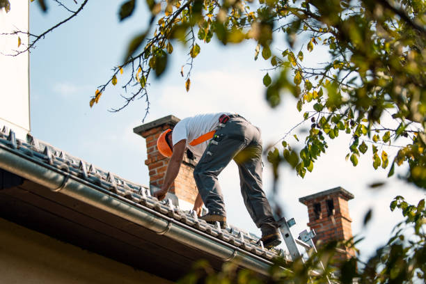 Best Roof Leak Repair  in Herrin, IL