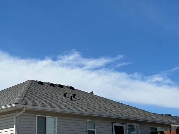 Best Skylight Installation and Repair  in Herrin, IL